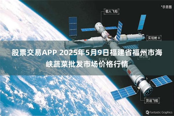 股票交易APP 2025年5月9日福建省福州市海峡蔬菜批发市场价格行情