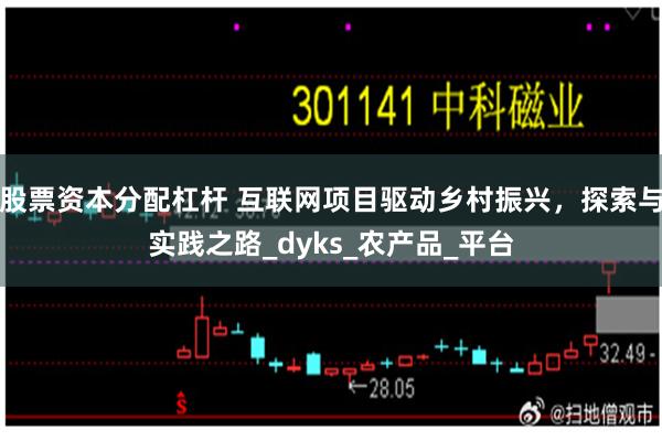 股票资本分配杠杆 互联网项目驱动乡村振兴，探索与实践之路_dyks_农产品_平台