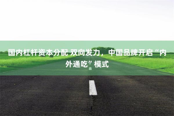 国内杠杆资本分配 双向发力，中国品牌开启“内外通吃”模式