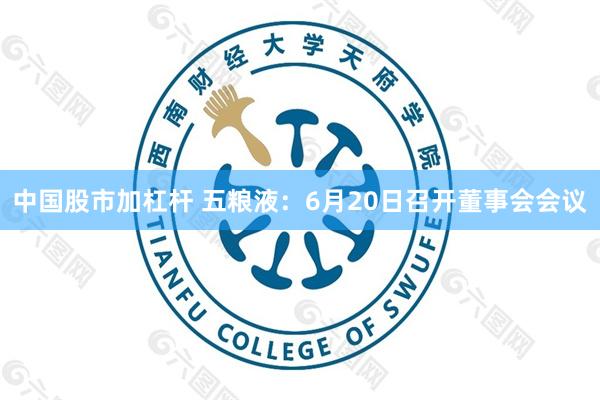 中国股市加杠杆 五粮液：6月20日召开董事会会议